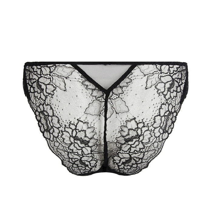 lise-charmel-slip-sublime-en-dentelle-noir-p-dos